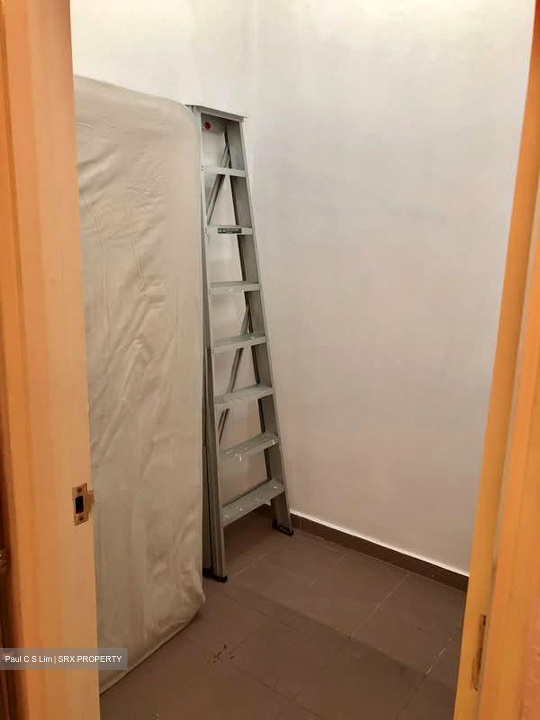 Nineteen Shelford Road (D11), Condominium #534194571
